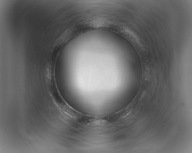 X0000073460210200608111518