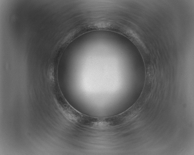 X0000073460212200608111518