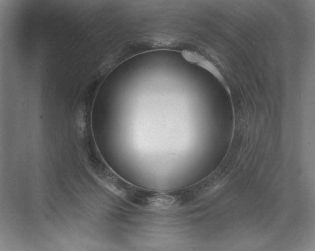 X0000073460215200608111518