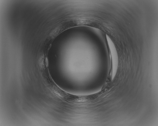 X0000073460219200608111518