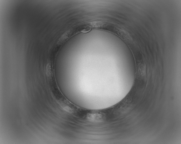 X0000073460220200608111518