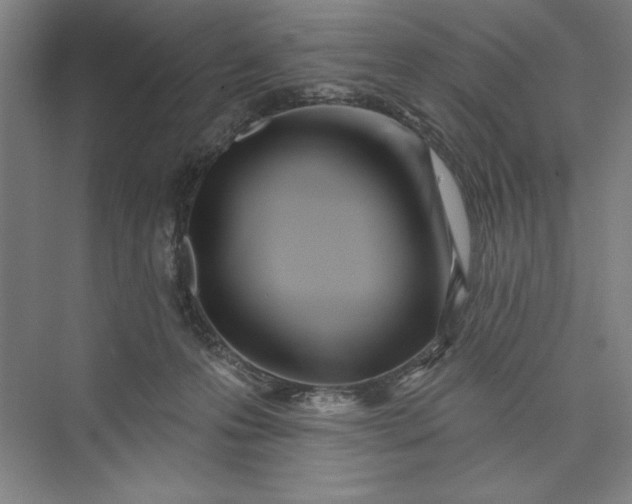 X0000073460223200608111518