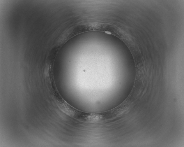 X0000073460225200608111518