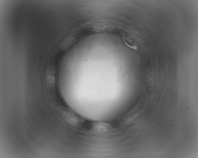 X0000073460226200608111518