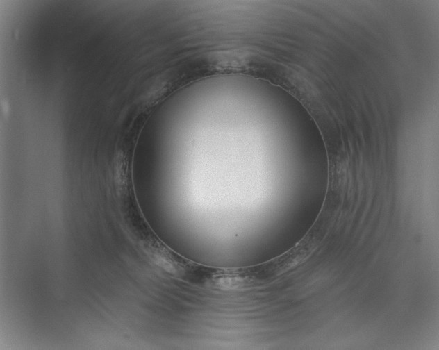 X0000073460228200608111518