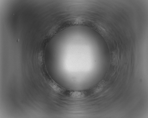 X0000073460230200608111518