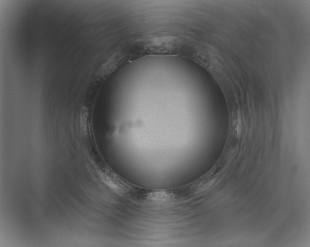 X0000073460231200608111518