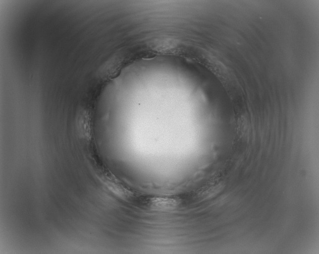 X0000073460234200608111518