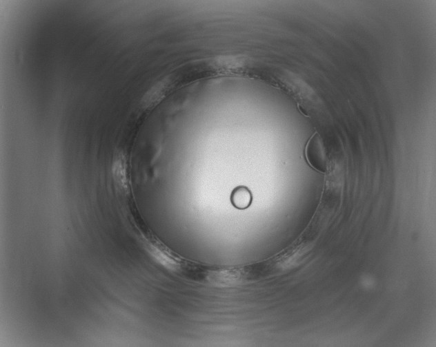 X0000073460238200608111518