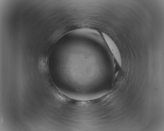 X0000073460239200608111518