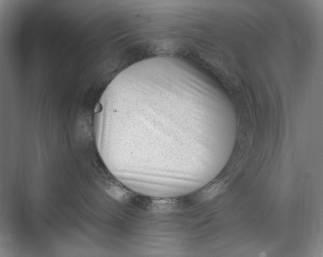 X0000073460240200608111518