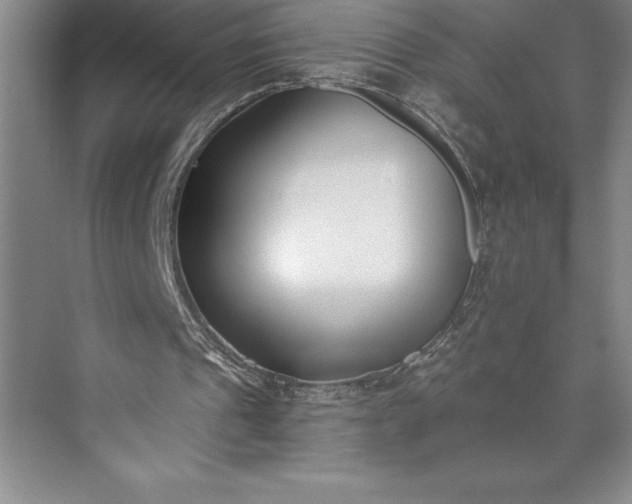 X0000073460241200608111517