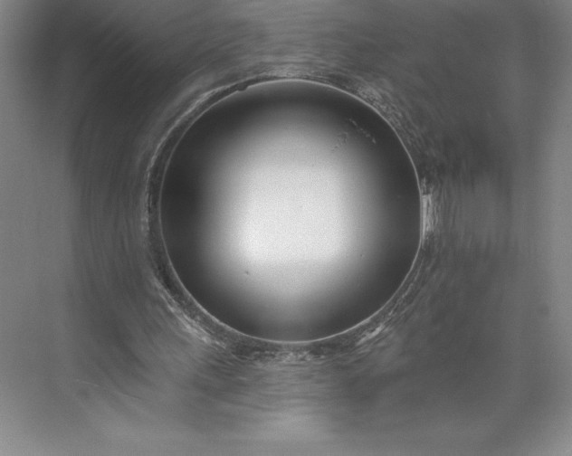 X0000073460243200608111517