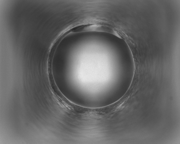 X0000073460244200608111517