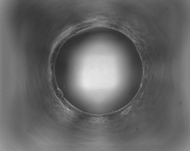 X0000073460245200608111517