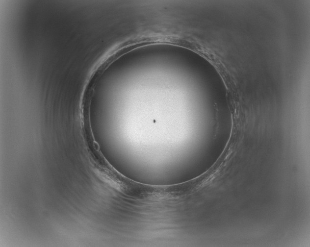 X0000073460246200608111517