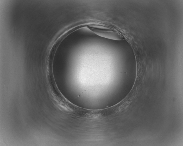 X0000073460247200608111517