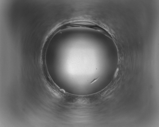 X0000073460248200608111517