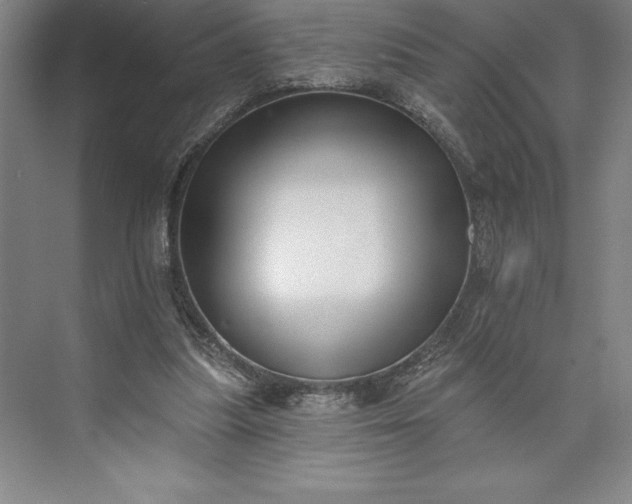 X0000073460251200608111517