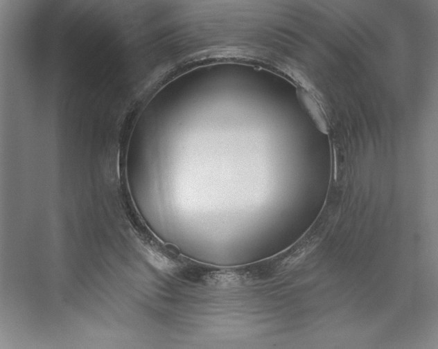 X0000073460253200608111517