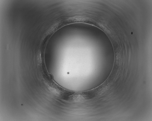 X0000073460254200608111517