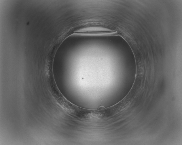 X0000073460255200608111517