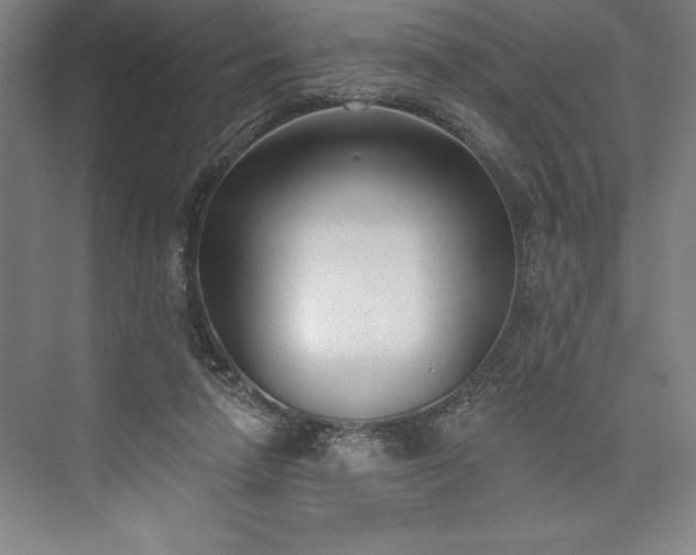 X0000073460258200608111517