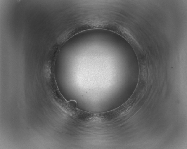 X0000073460259200608111517