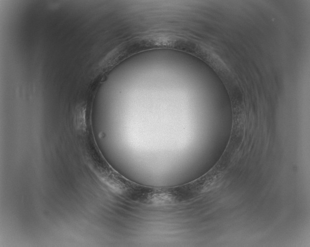 X0000073460262200608111517