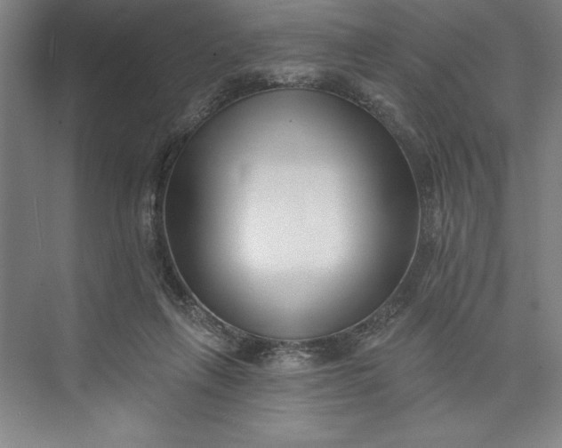 X0000073460263200608111518