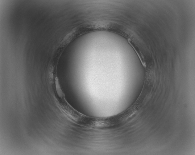 X0000073460264200608111518