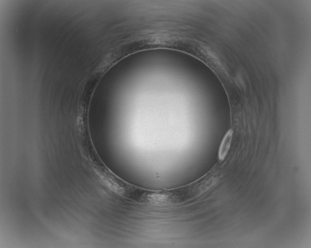 X0000073460265200608111518