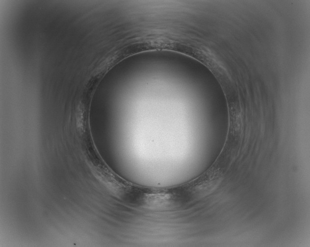 X0000073460266200608111518