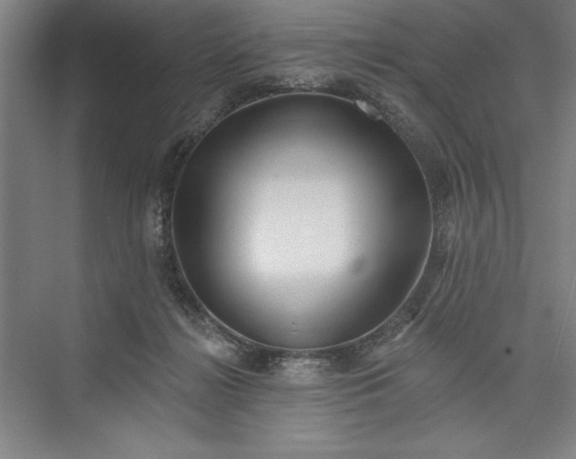 X0000073460268200608111518