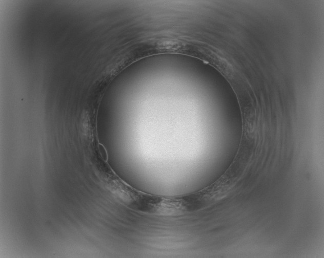 X0000073460270200608111518