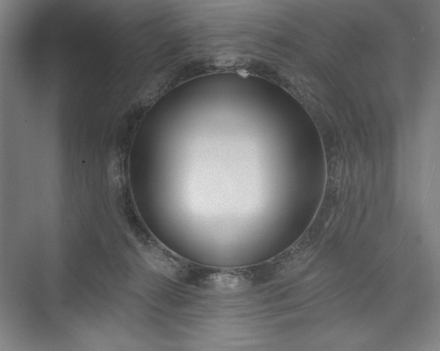 X0000073460272200608111518