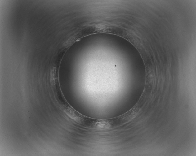 X0000073460275200608111518