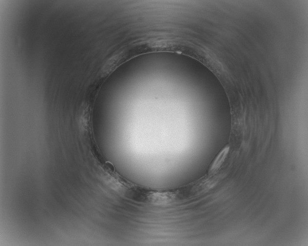 X0000073460277200608111518