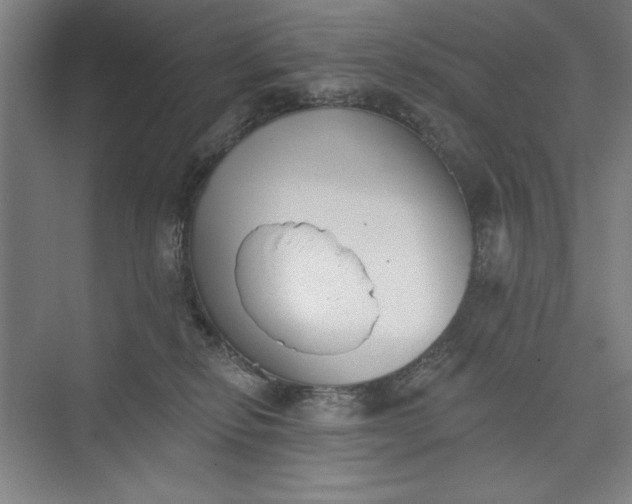 X0000073460278200608111518