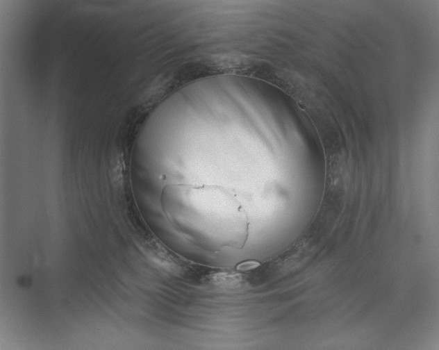 X0000073460279200608111518