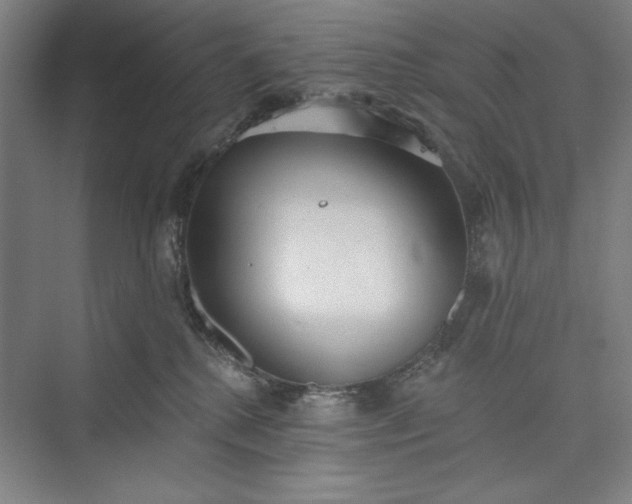 X0000073460280200608111518