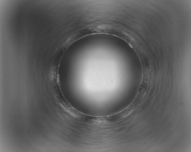 X0000073460284200608111518