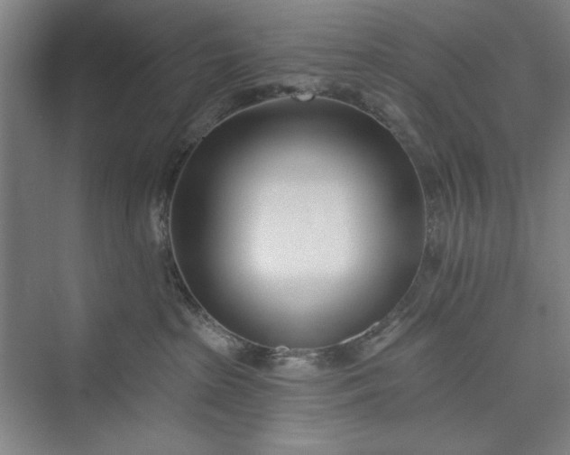 X0000073460285200608111518