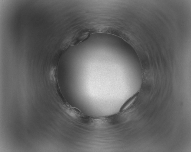 X0000073460286200608111518