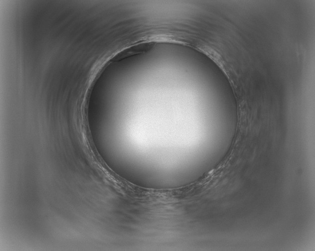 X0000073460289200608111517