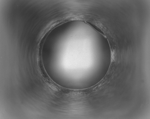 X0000073460291200608111517