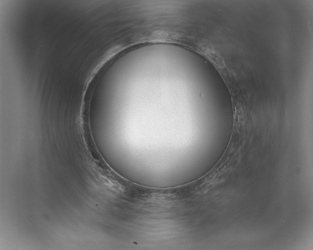 X0000073460292200608111517