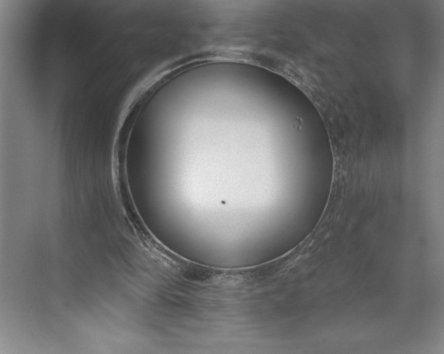 X0000073460294200608111517