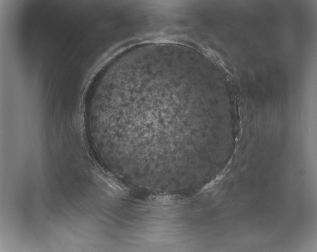 X0000073460295200608111517