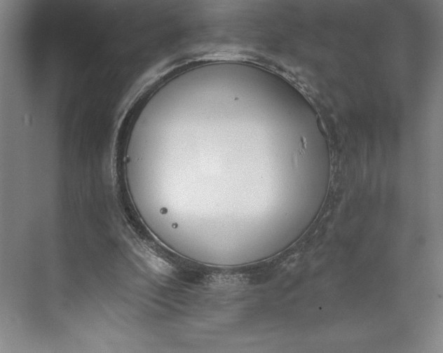 X0000073460296200608111517